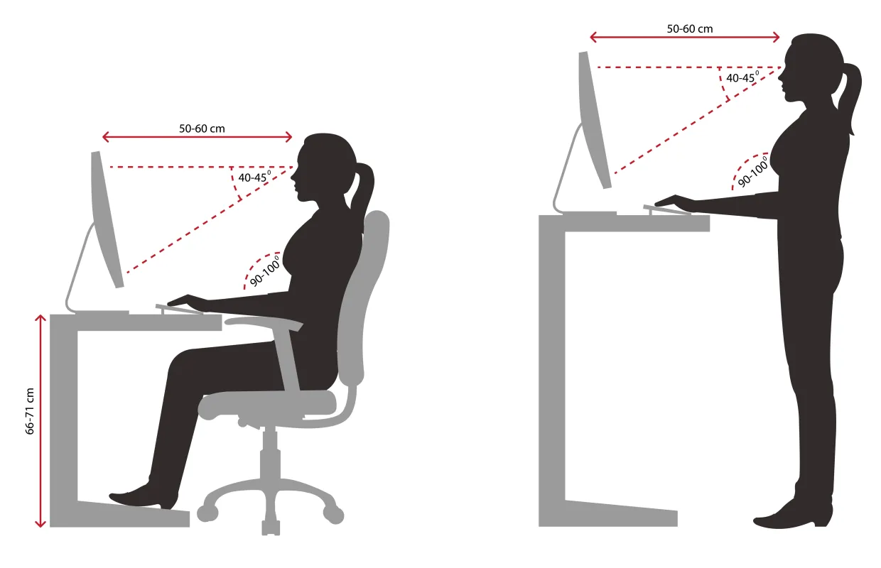Ergonomic Workstation Setup