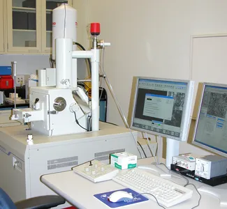 JEOL JSM-6490LV variable-pressure SEM