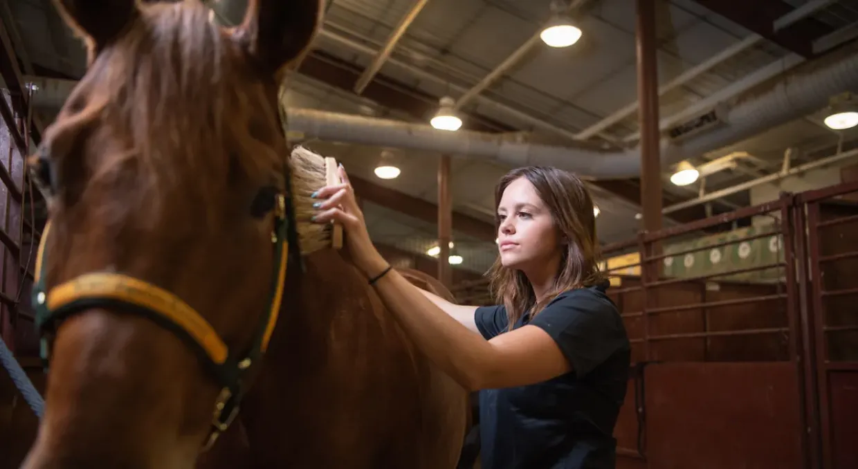 Student with horse in equine center