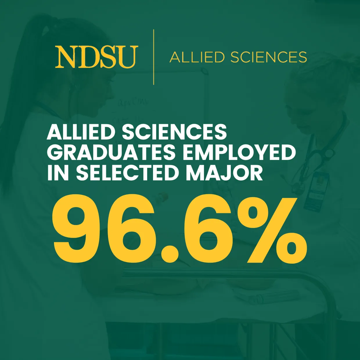 96.6% graduates employed in selected major