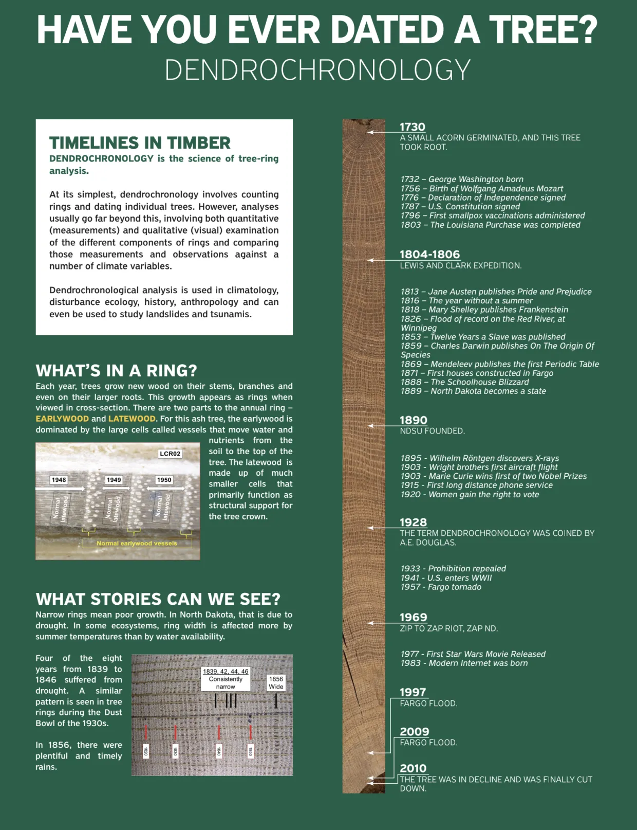 Explanation of Portal for Have you ever dated a tree