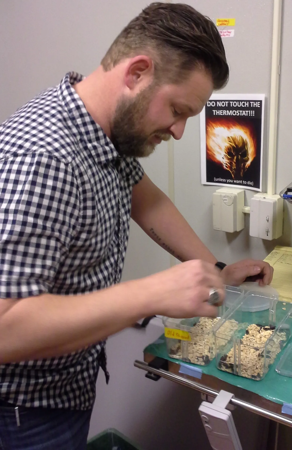 Zac sorting beetles.