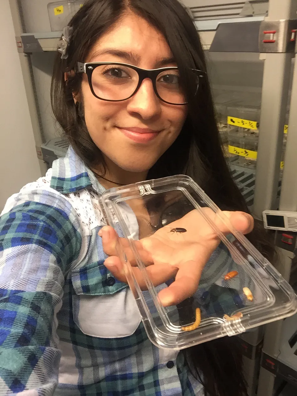 A scientist showing off beetles.