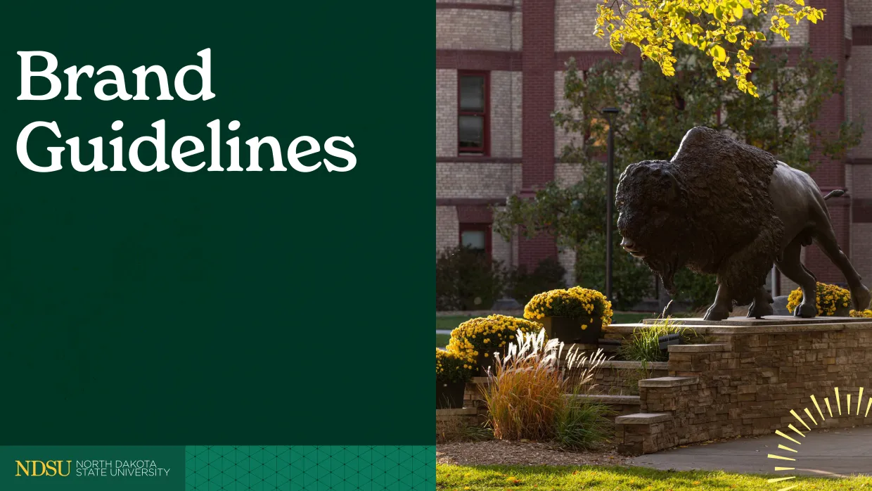 NDSU Brand Guidelines cover graphic