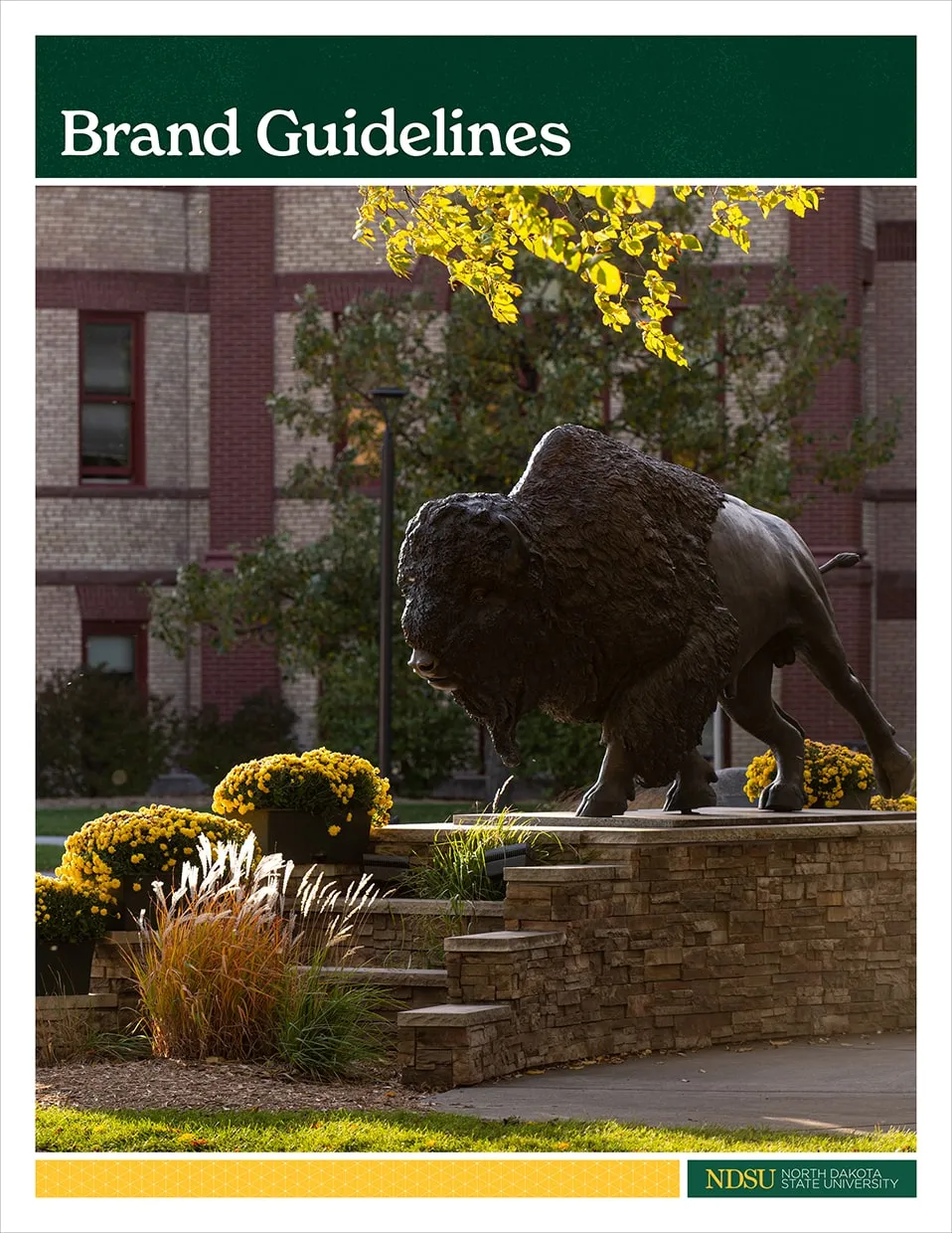 NDSU Brand Guidelines cover graphic