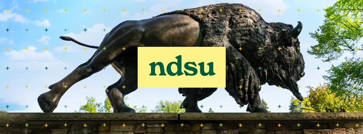 NDSU facebook cover photo of bison statue on campus