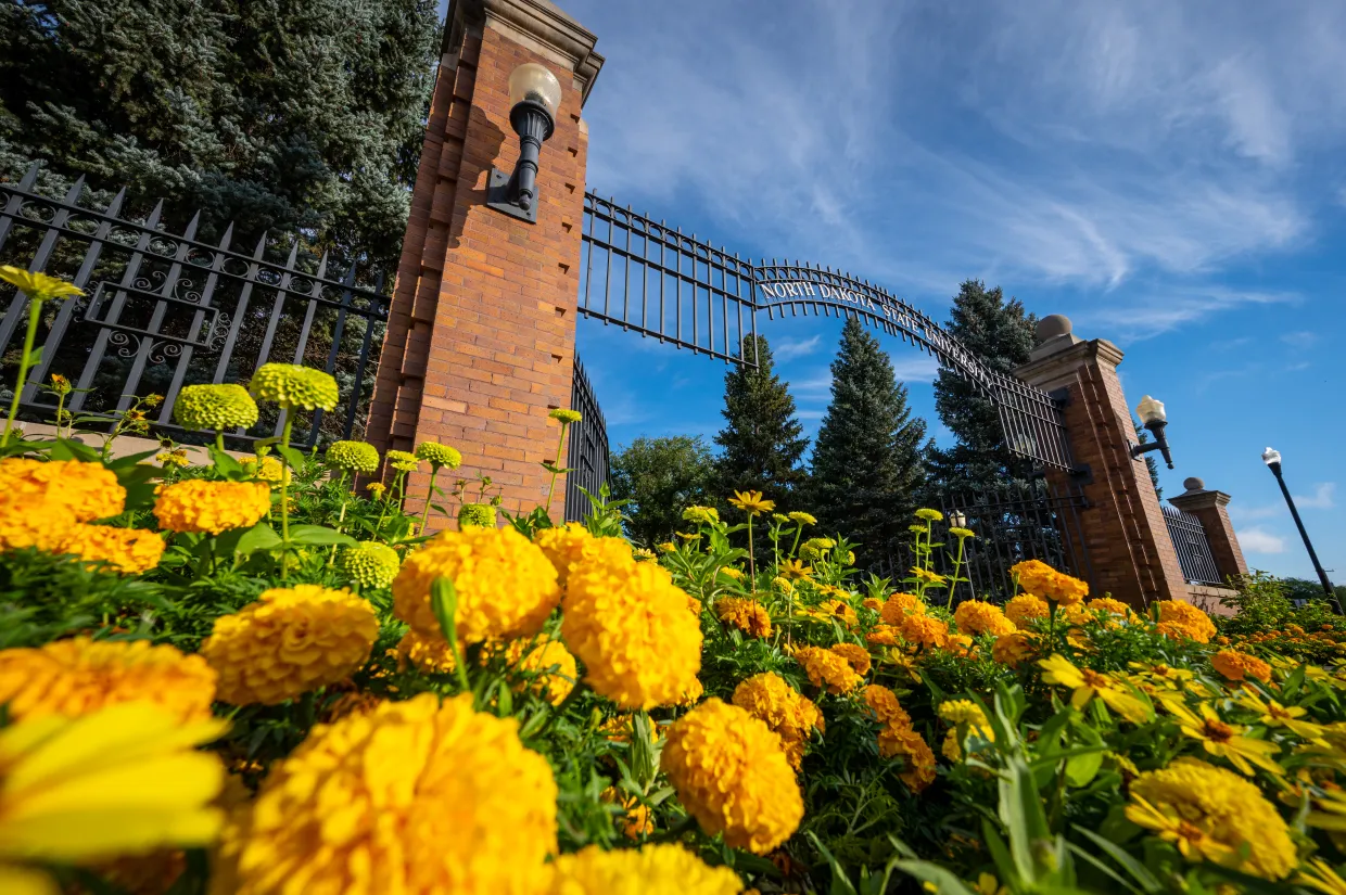 NDSU Gates