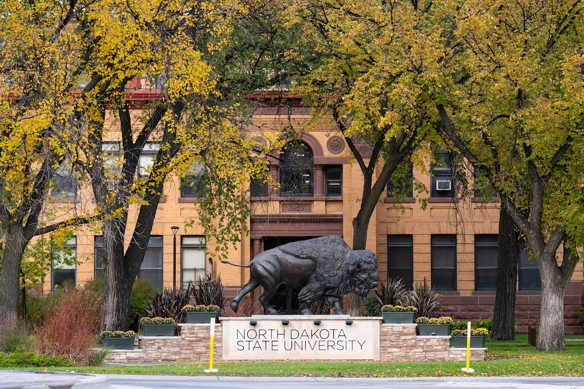 NDSU Bison Statue