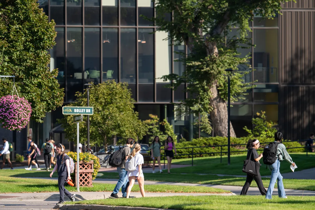 various students walking on campus between classes