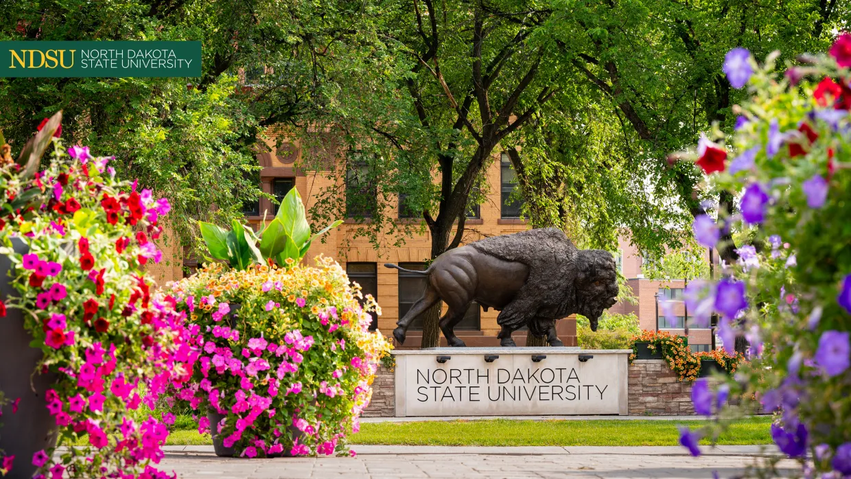 Bison statue in the background with colorful flowers in the foreground
