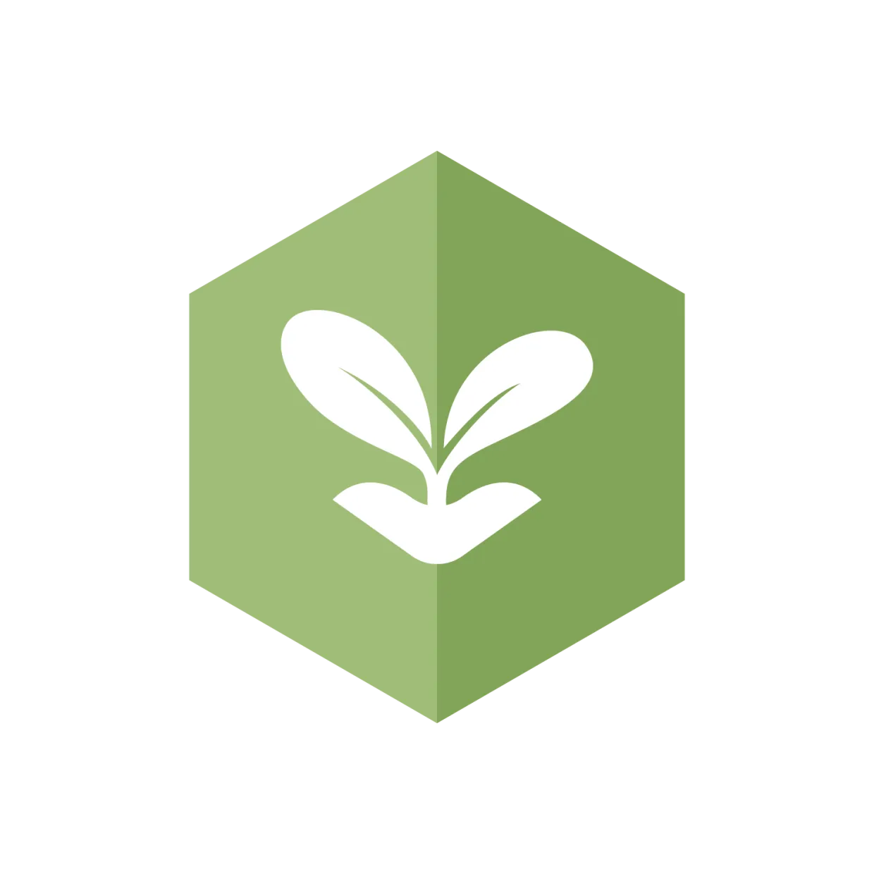 graphic illustration to show Grow