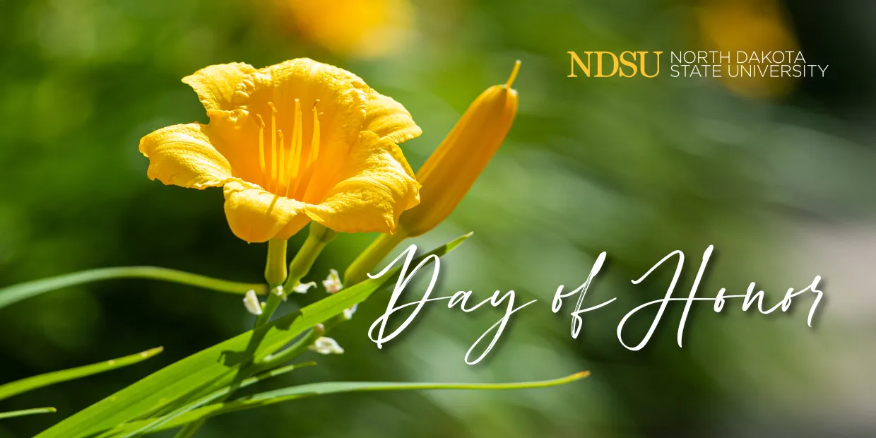 Day of Honor Webpage Banner