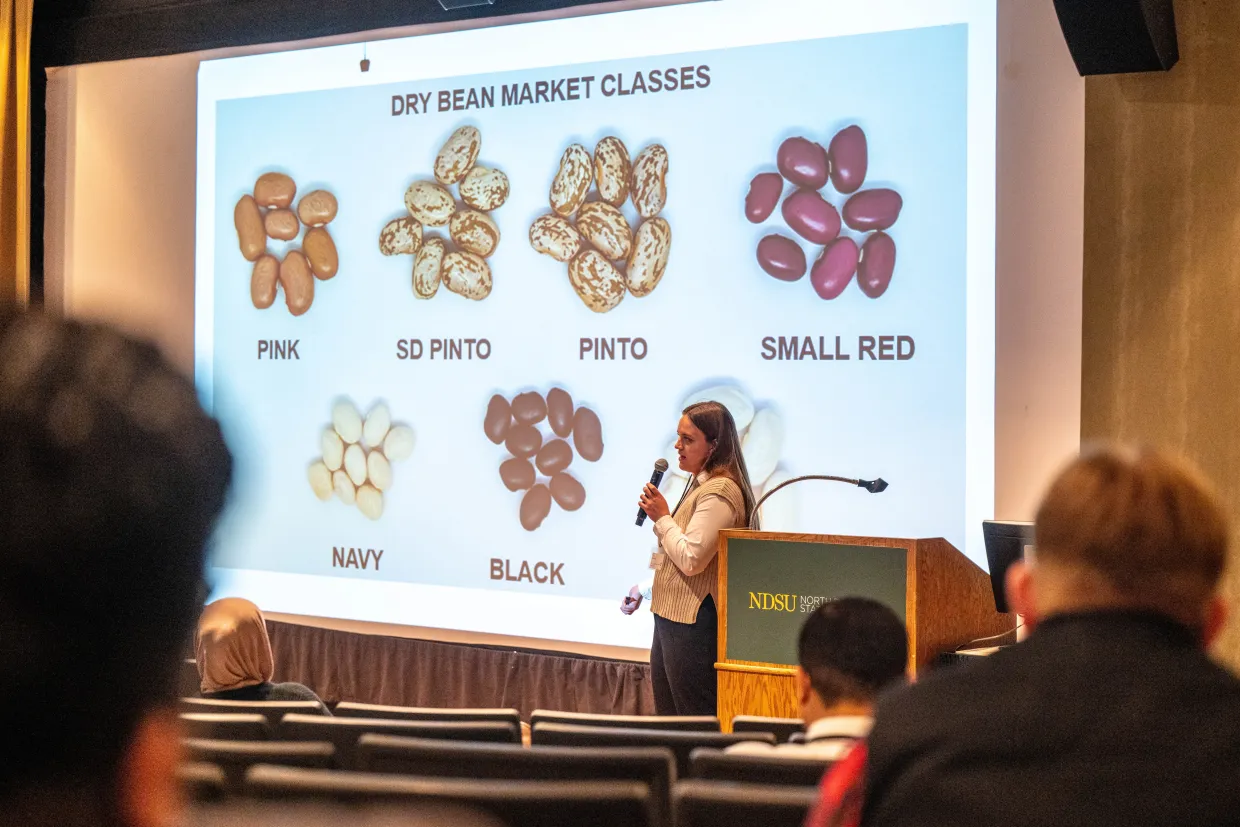 An NDSU graduate student presents her research in the NDSU Memorial Union.