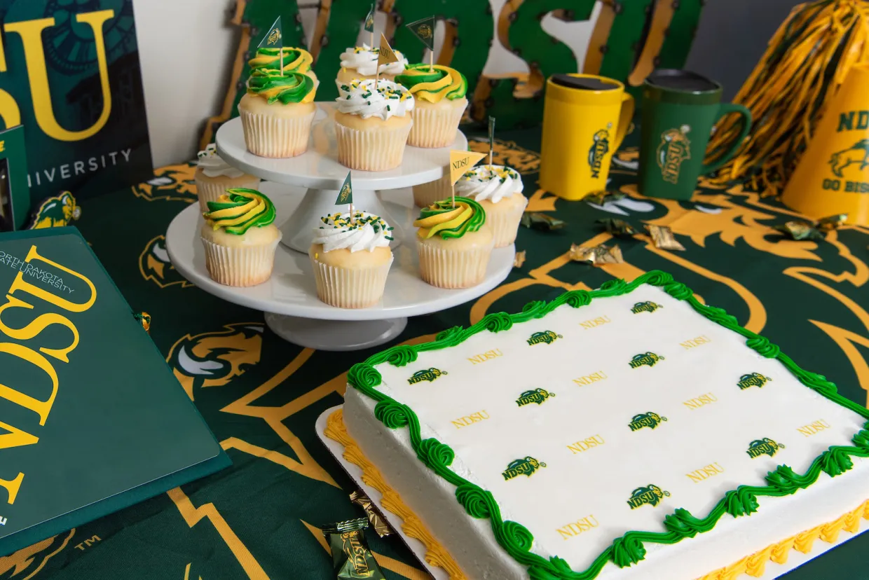 school themed cake and cupcake designs with NDSU colors and logo