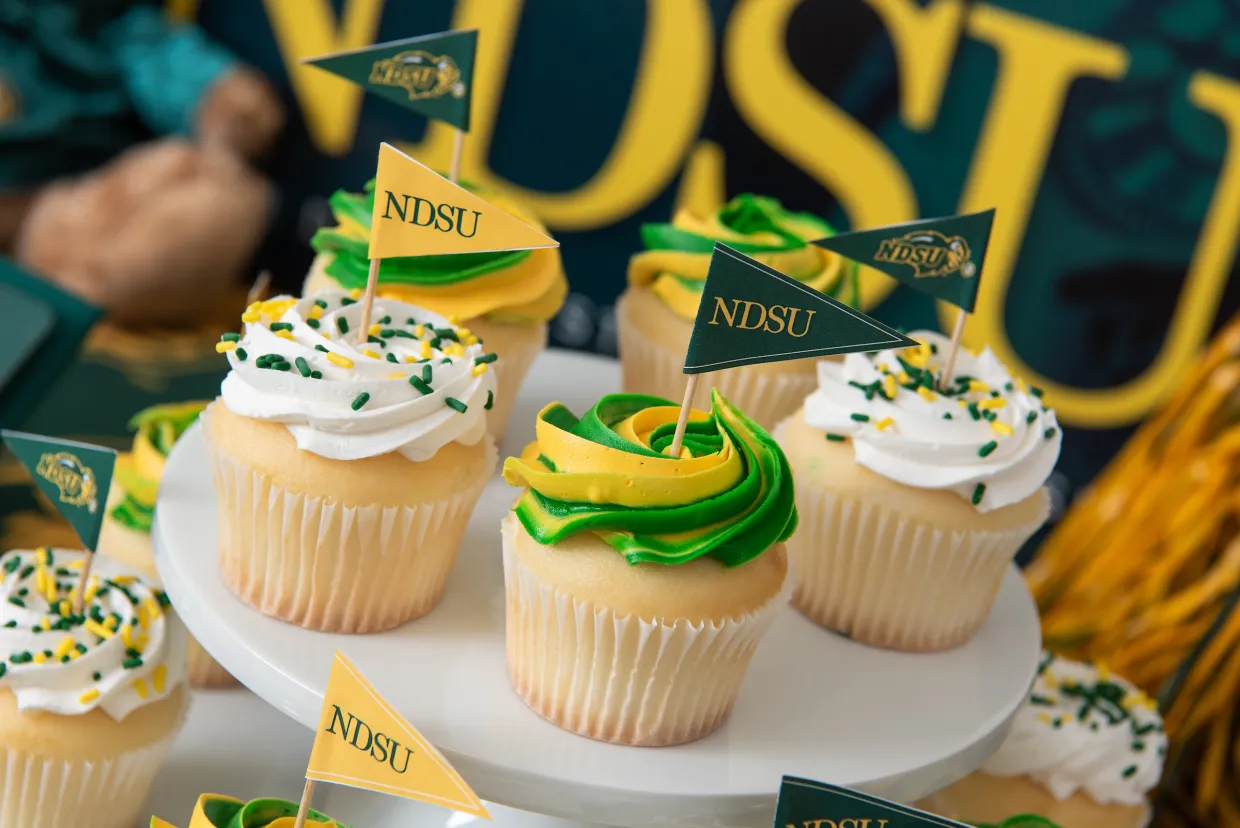 cupcakes with pennant flags stuck in them