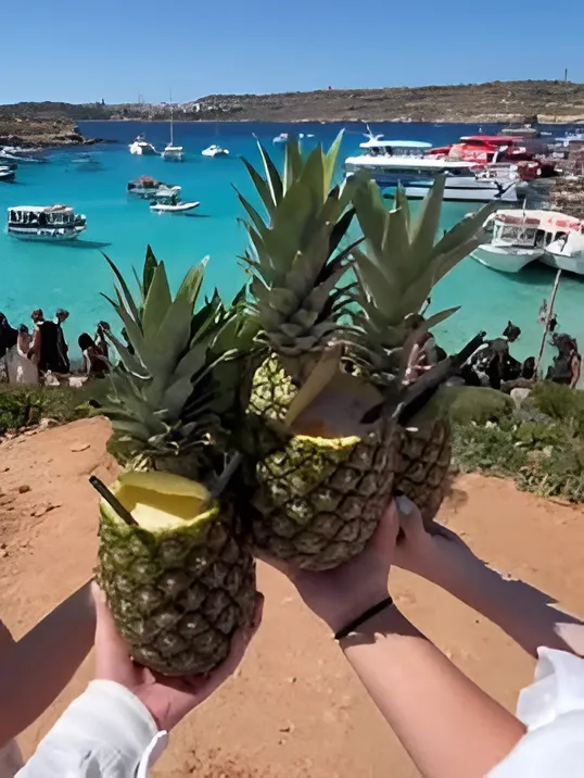 Pineapples cut at the stem with straws in them