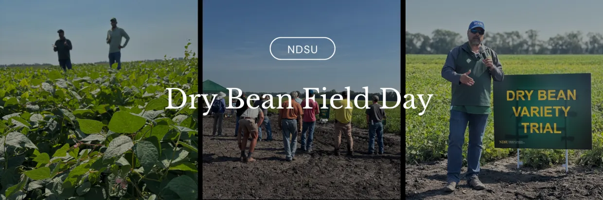 Dry Bean Field Day pictures