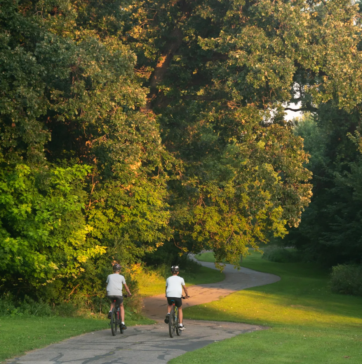 People riding bikes in a park