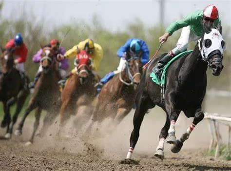 Horse races
