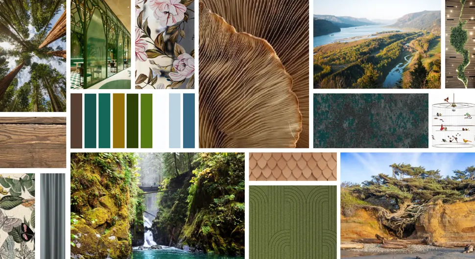 Color and inspiration board for design process