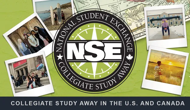 NSE