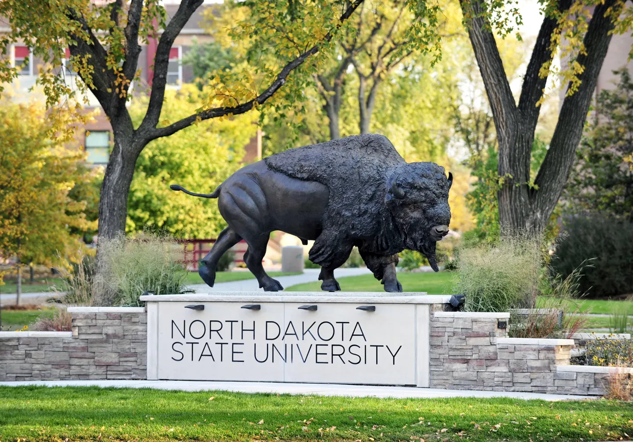 Bison statue locateed on the NDSU campus