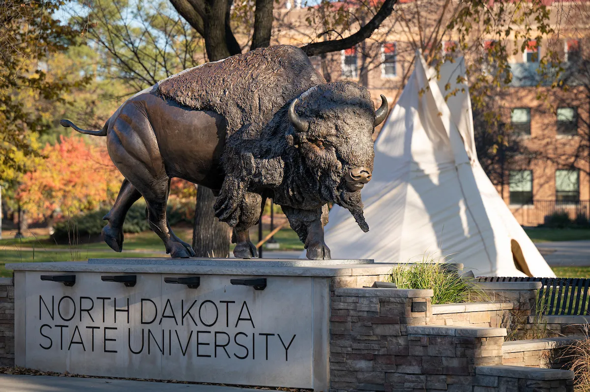 Bison statue locateed on the NDSU campus with teepee in the background