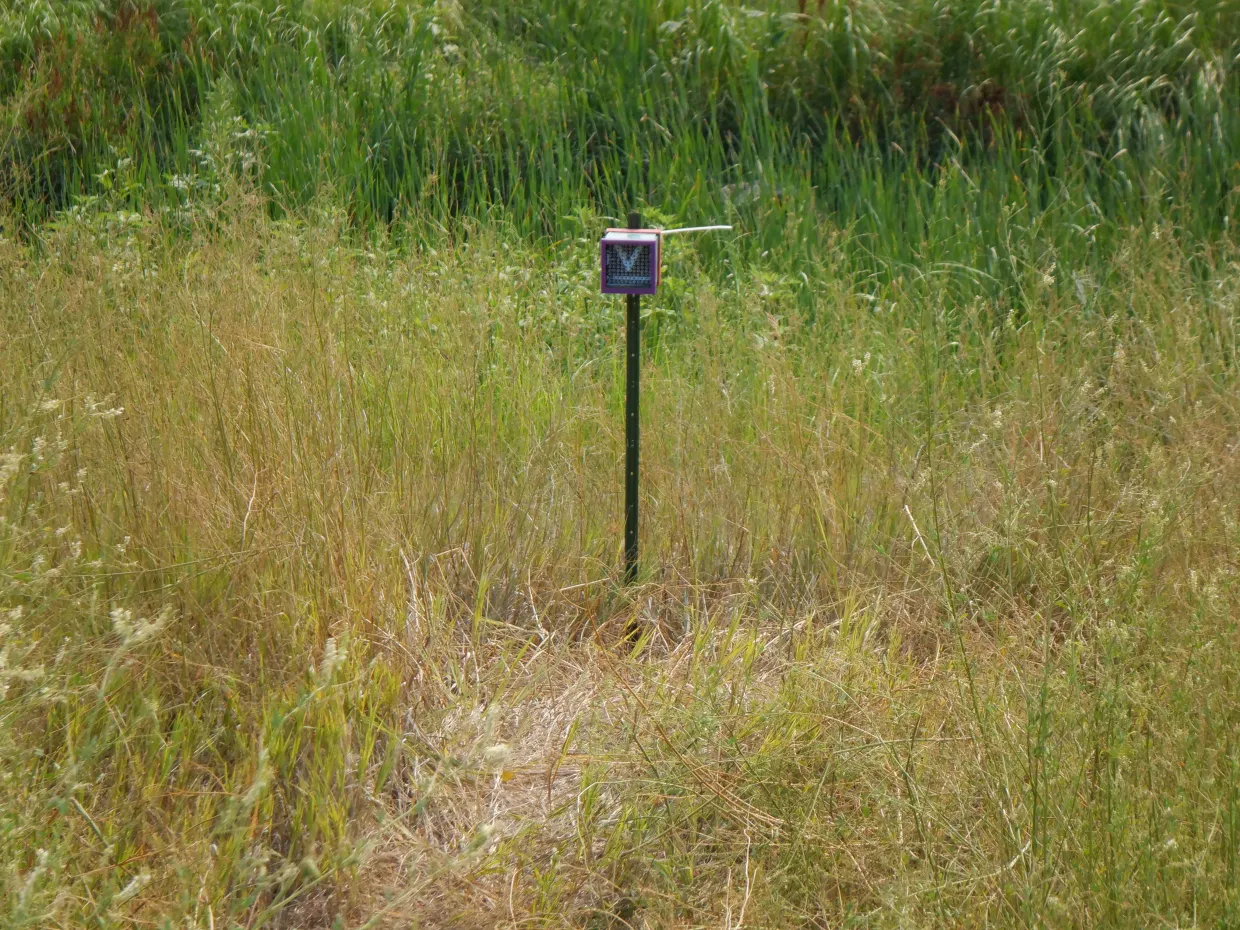 Research equipment located in a green grassy field. 