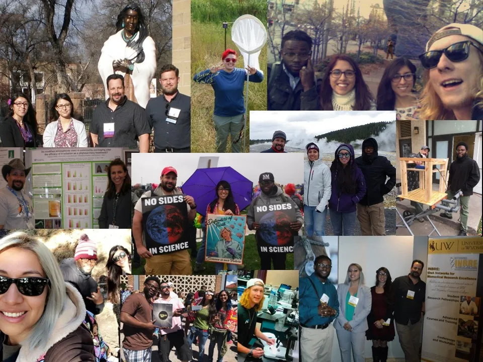 Collage of Comparative Stress Physiology Lab pictures