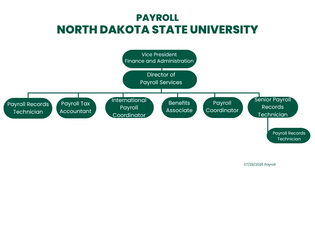 Payroll Organizational Chart