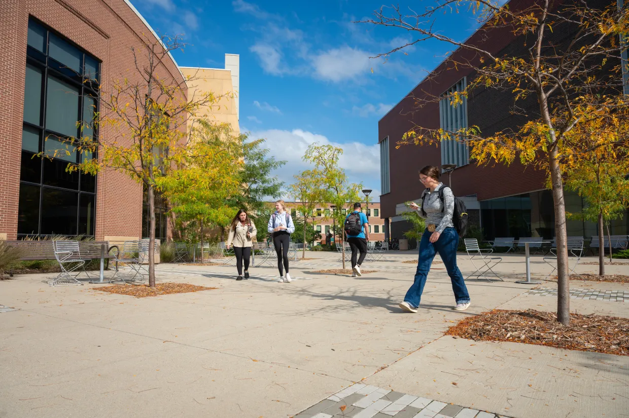 Students walking outside on campus during a bright sunny day.