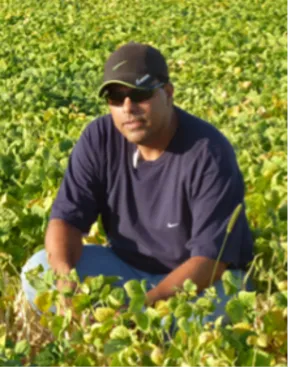 Osorno sitting in a field with green plants looking confidently at camera.