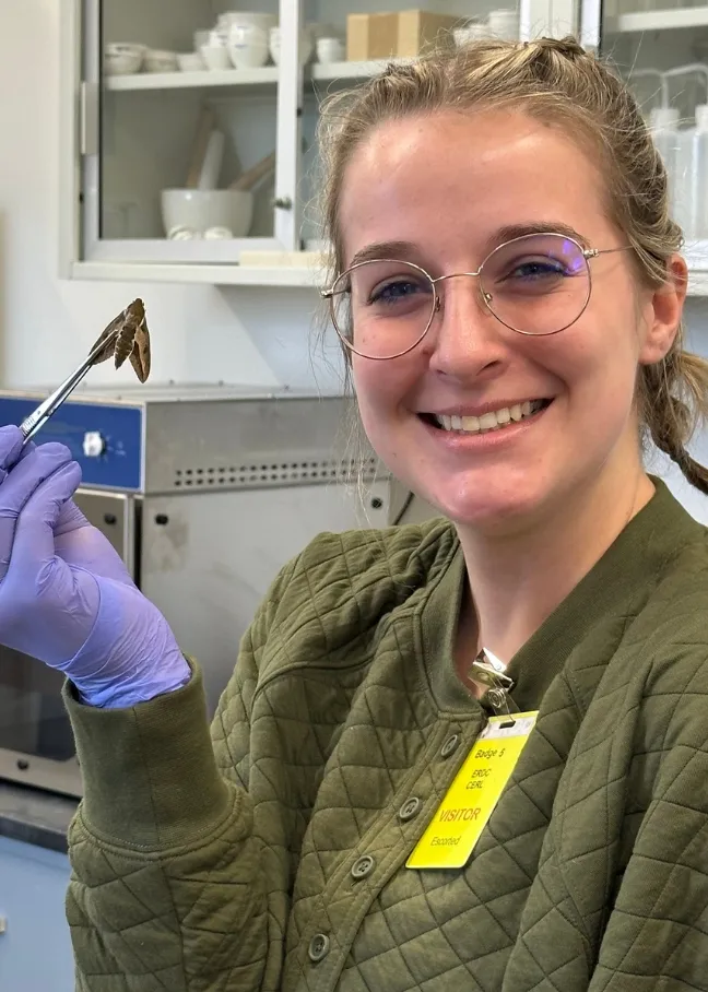 Trinity Atkins holding a moth with tweezers while smiling confidently at camera.
