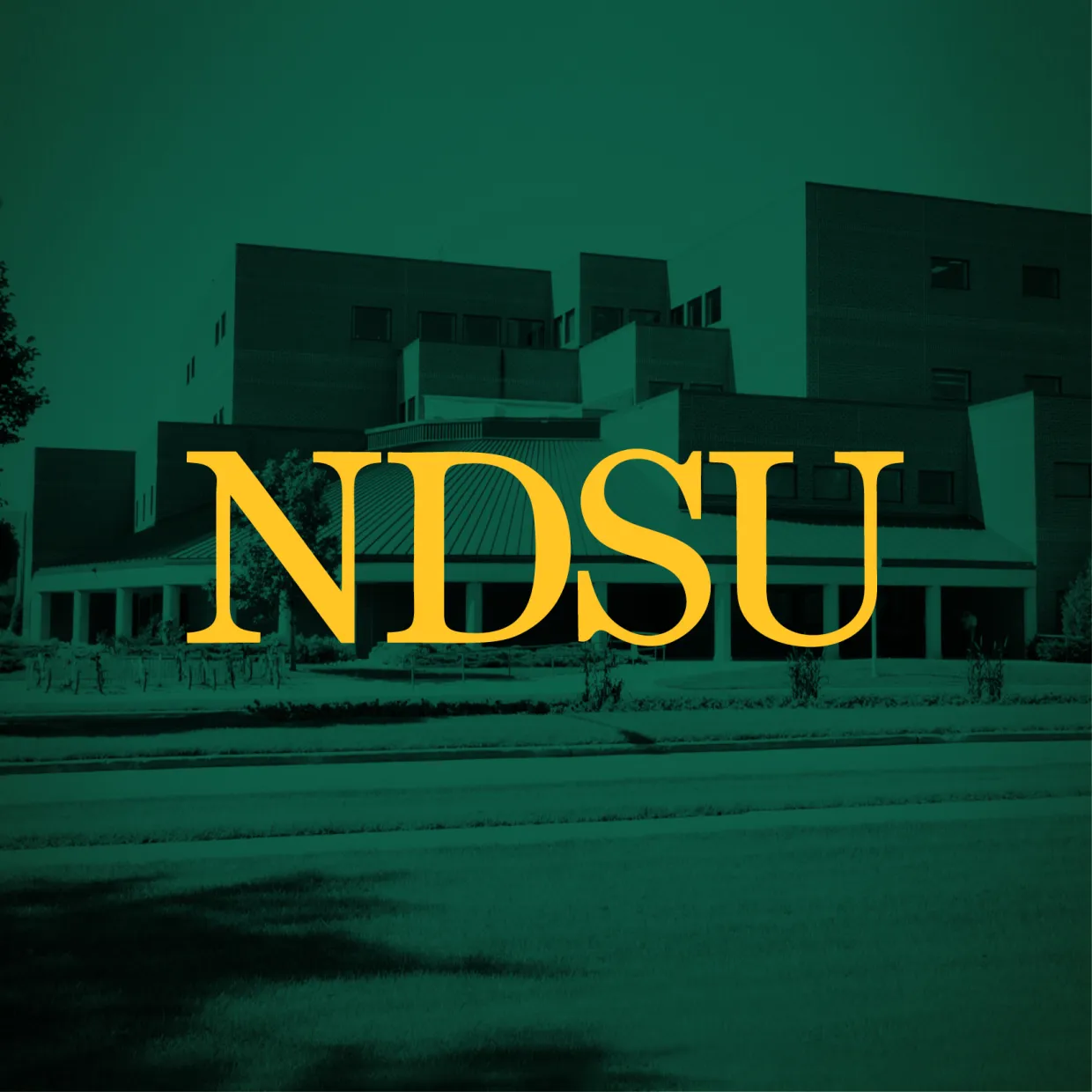 NDSU profile picture with QBB background