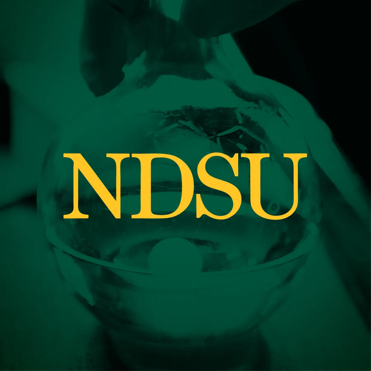 NDSU profile picture with research background