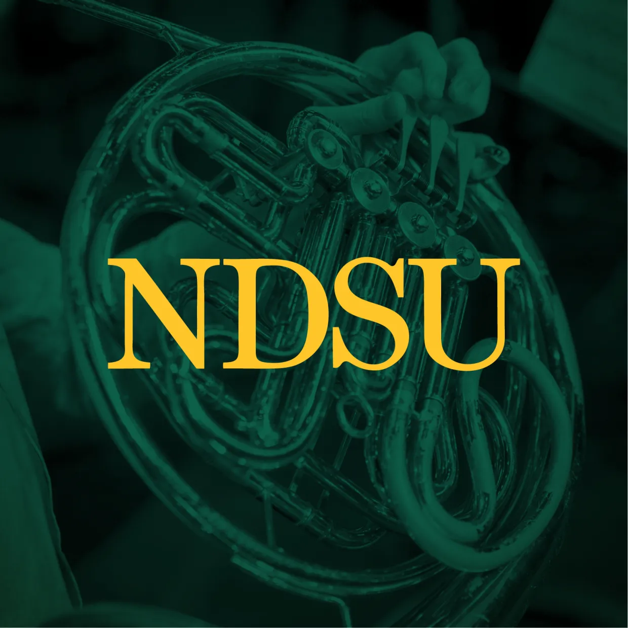 NDSU profile picture with brass instrument background