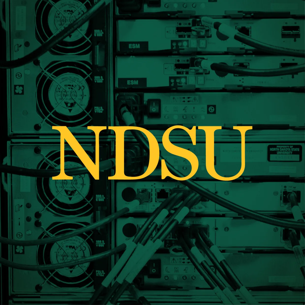 NDSU profile picture with networking background