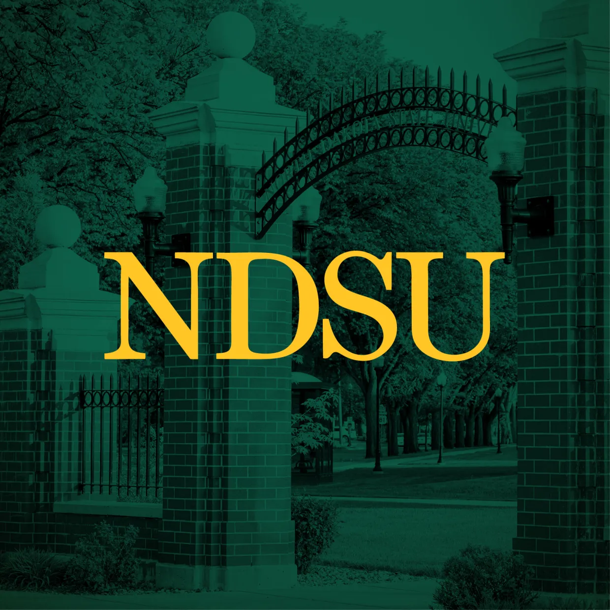NDSU profile picture with main gate background
