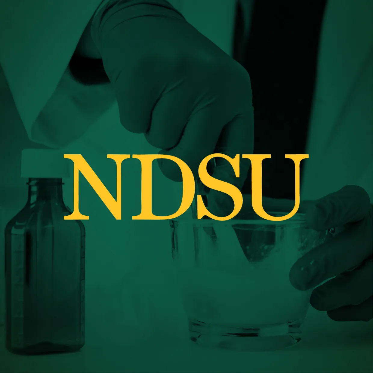 NDSU profile picture with research background