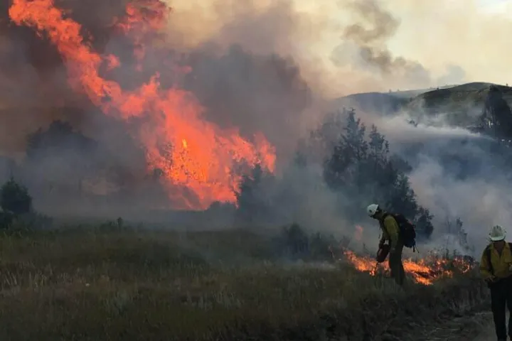 A firefighter in yellow gear using a drip torch to burn a fuel break to ensure the wildfire blaze in the background doesn't spread