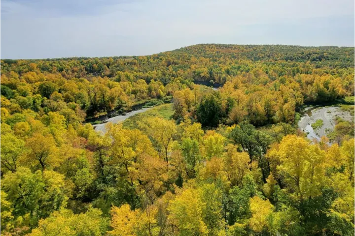 Aerial photo of a forest with leaves changing color for fall and a river meandering through
