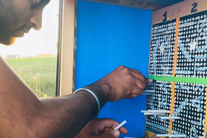 a student researcher examines a box for bee larval development