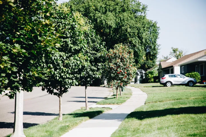 A boulevard with many young, diverse tree species planted next to a sidewalk