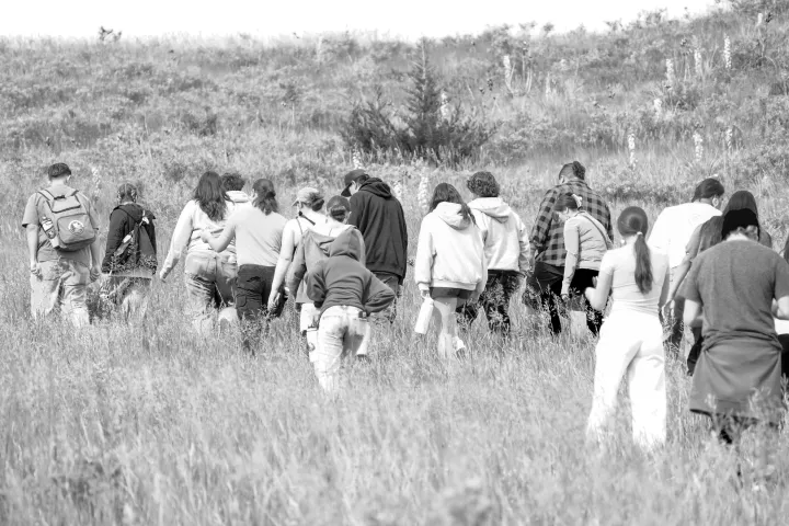 Forage
