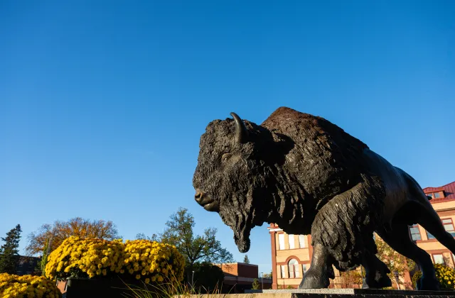 Bison Statue