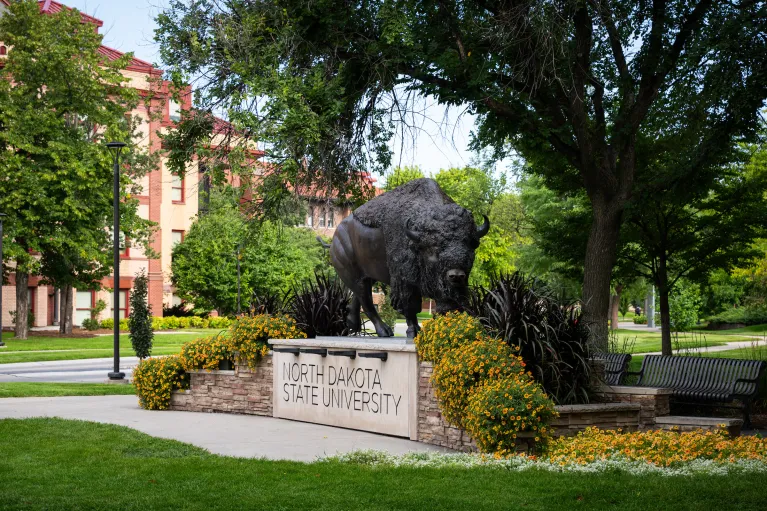 Bison Statue in Summer