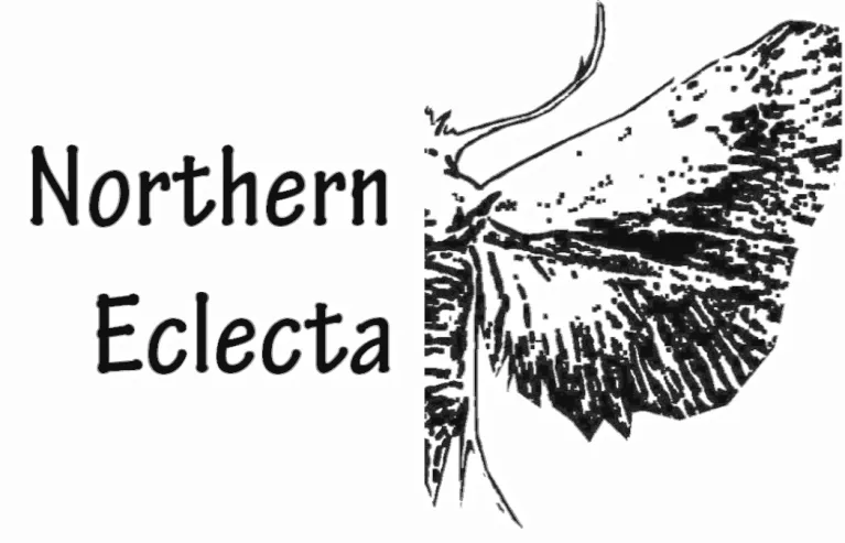 Northern Eclecta black and white logo.