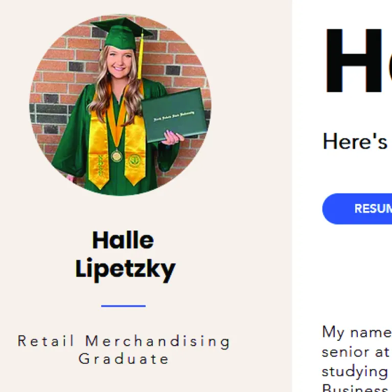 Halley Lipetsky portfolio, click thumbnail for full site.