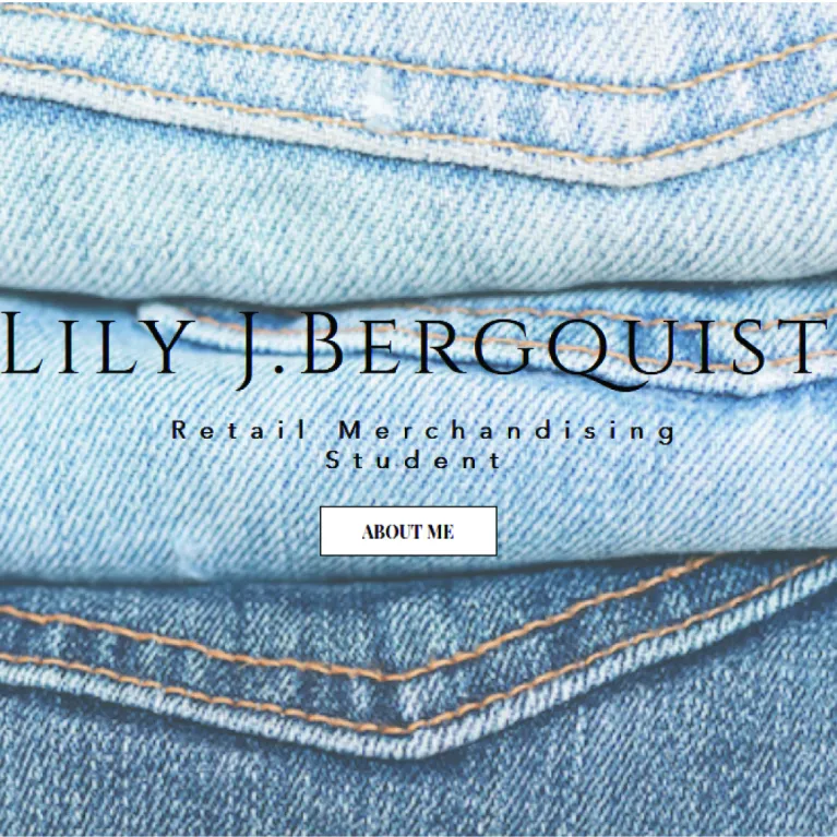 Lily Bergquist portfolio, click thumbnail for full site.