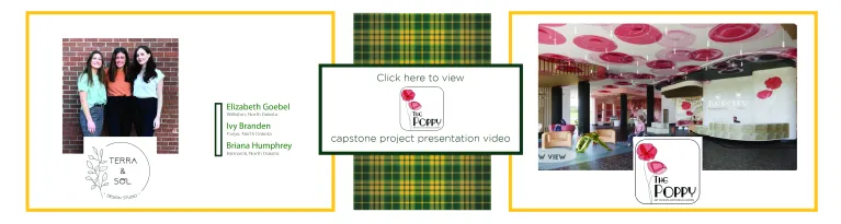 Senior webpage 1, click for video.